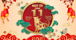 ngay-tot-chuyen-nha-chuyen-van-phong-thang-11-nam-2021-hd