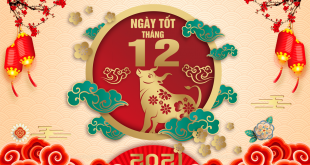 ngay-tot-chuyen-nha-chuyen-van-phong-thang-12-nam-2021-hd
