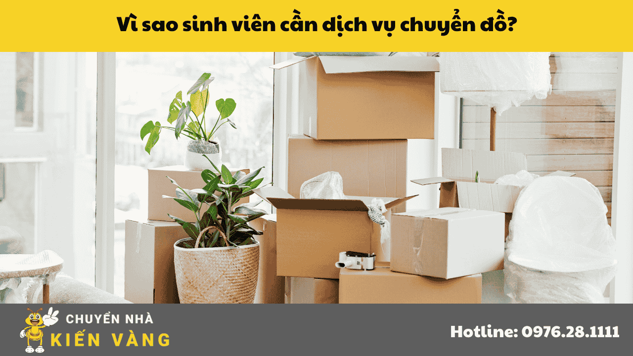 Vì sao sinh viên cần dịch vụ chuyển đồ?