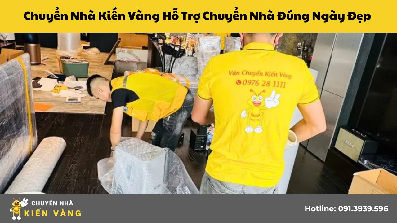 Chuyen-nha-kien-vang