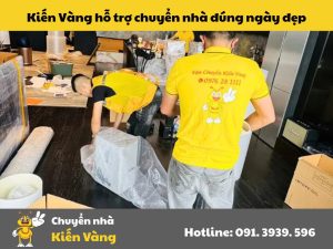 Kiến Vàng hỗ trợ chuyển nhà đúng ngày đẹp