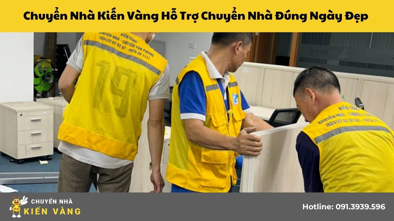 Chuyen-nha-kien-vang