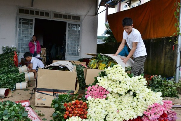 Hướng dẫn đóng gói, vận chuyển hoa tươi đúng cách