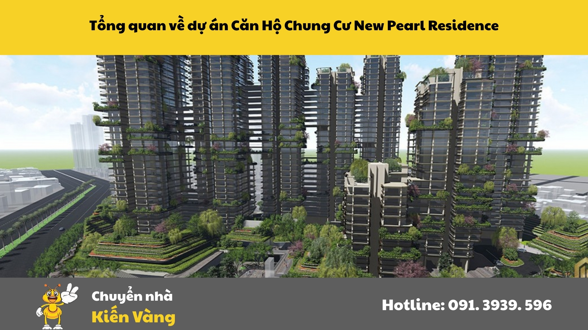 Tổng quan về dự án Căn hộ chung cư New Pearl Residence