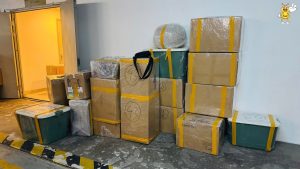 Dịch vụ chuyển nhà trọn gói Kiến Vàng