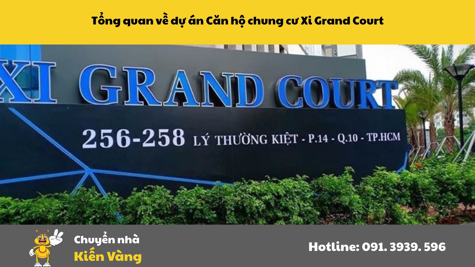 Tổng quan dự án căn hộ chung cư Xi Grand Court