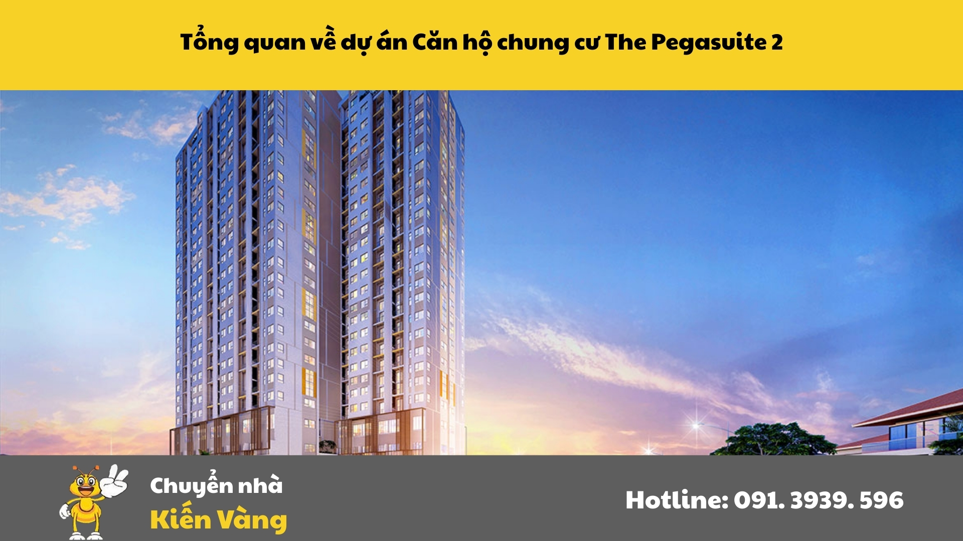 Tổng quan về dự án Căn hộ chung cư The Pegasuite 2