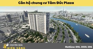 Tổng quan về dự án Căn hộ chung cư Tâm Đức Plaza