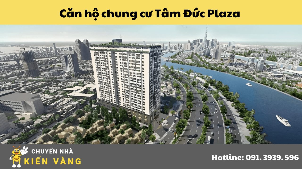 Tổng quan về dự án Căn hộ chung cư Tâm Đức Plaza