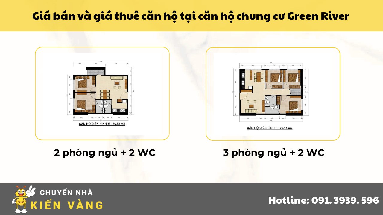 Giá bán và giá thuê căn hộ tại chung cư Green River Quận 8 (Cập nhật 2025)