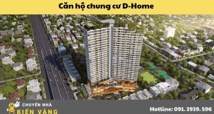 Giới thiệu về dự án Căn hộ chung cư D-Home Quận 6