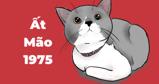 Ngày tốt chuyển nhà tuổi Ất Mão 1975