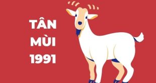 ngay-tot-chuyen-nha-tuoi-tan-mui-1991