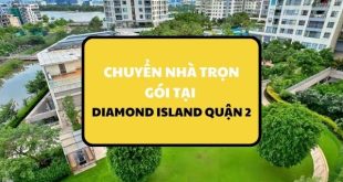 Dich vu chuyen nha tai Saigon Royal 1 1