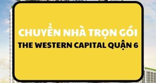 Dich vu chuyen nha tai Saigon Royal 2