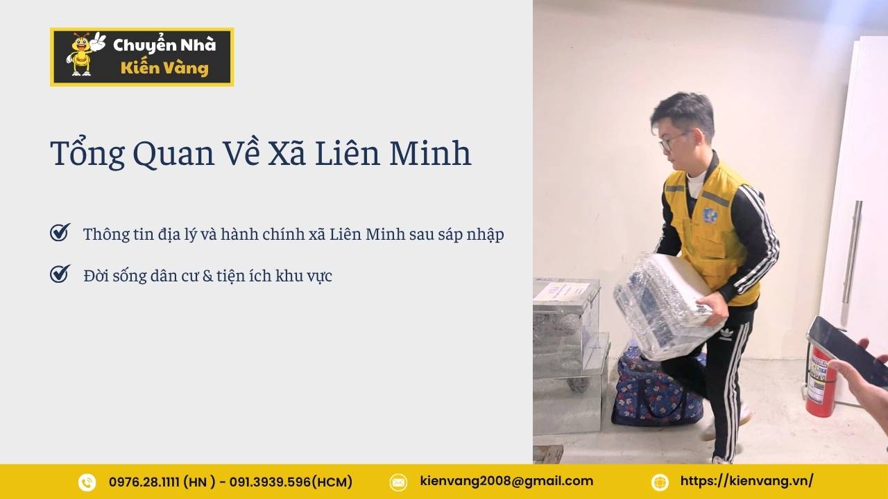 Tổng Quan Về Xã Liên Minh