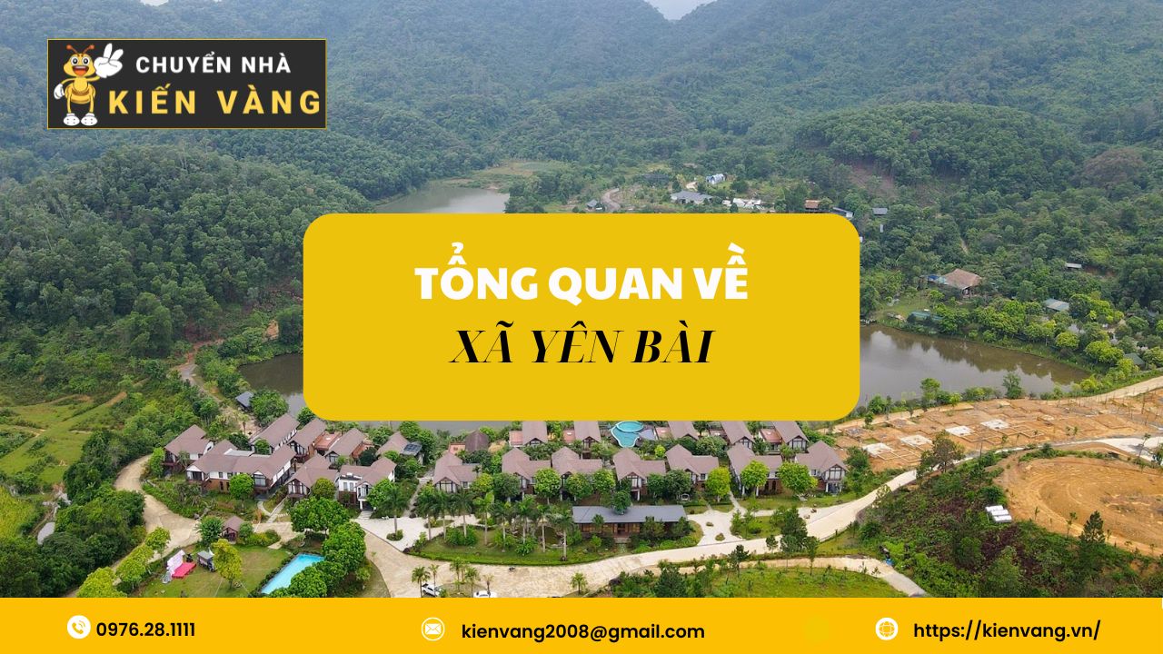 Tổng quan về xã Yên Bài