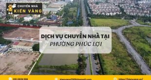 Tổng quan về phường Phúc Lợi