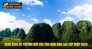 Dich vu chuyen nha tai Saigon Royal 3 2