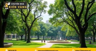 dịch vụ chuyển nhà trọn gói Phường Hòa Hưng